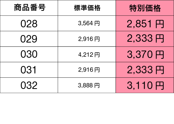 2,916円 2,916円